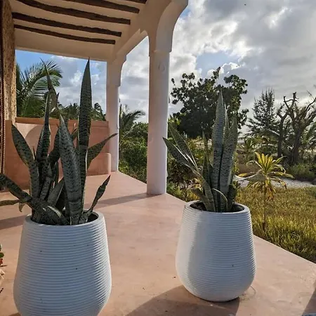 New Bweni Beach Lodge Baleni Exterior photo